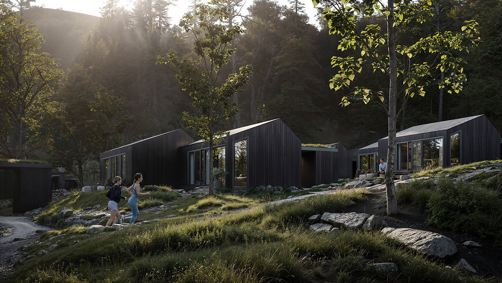 Hameau en vallée forestière, bois noir