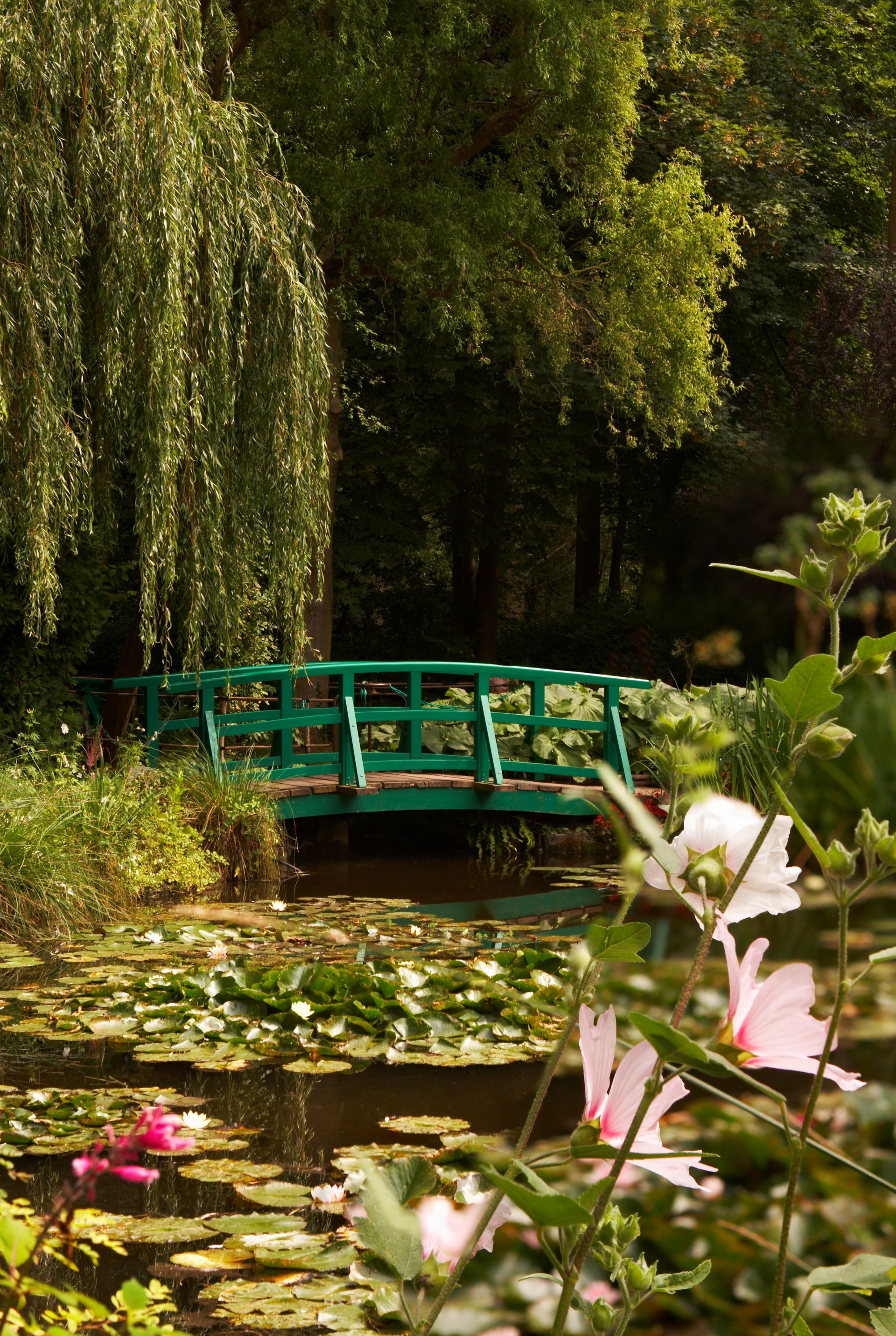 Monet de lys